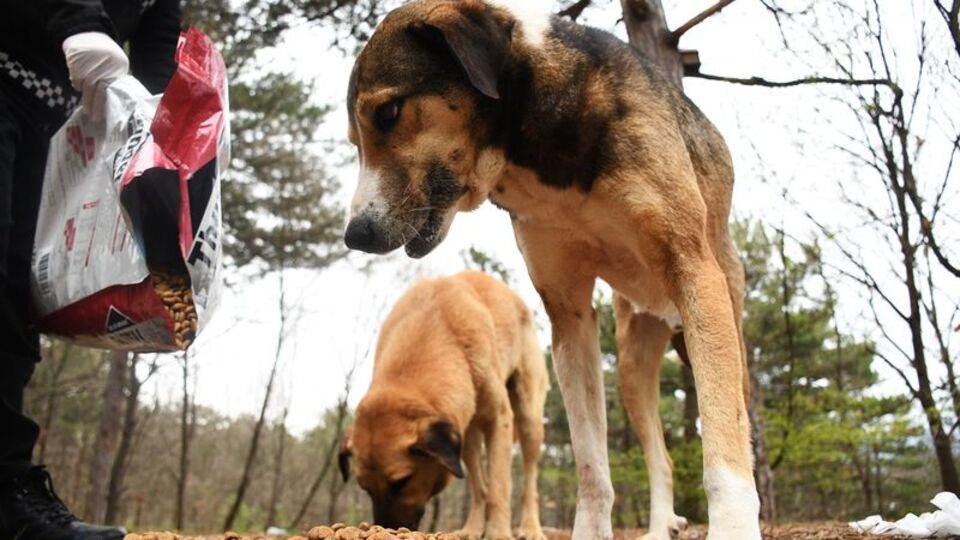 Bunu onlara yapmayın!