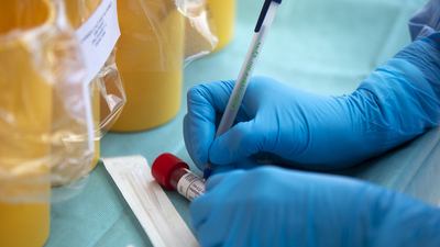 Liderlerden koronavirüse karşı "uluslararası dayanışma" çağrısı