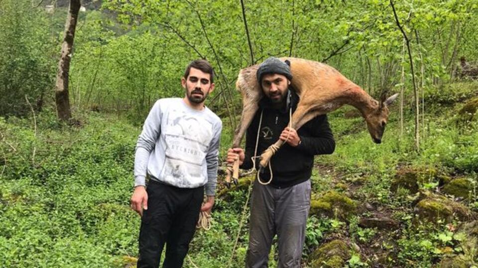 Yaralı karacayı omzunda taşıdı