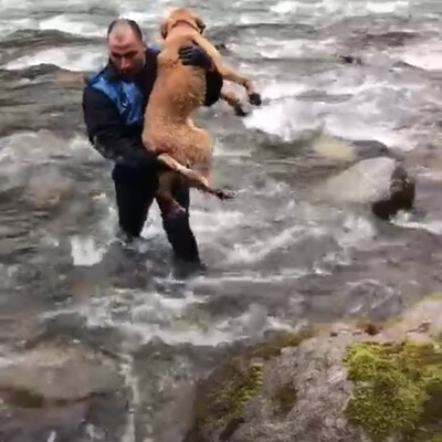 Yürekleri ısıtan kahramanlık!