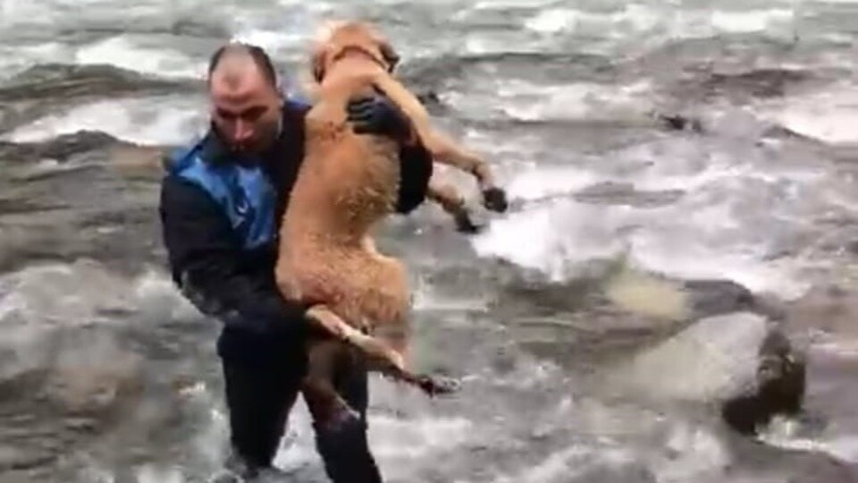 Yürekleri ısıtan kahramanlık!