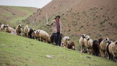 Göçerlerin zorunlu molası!