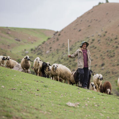 Göçerlerin zorunlu molası!