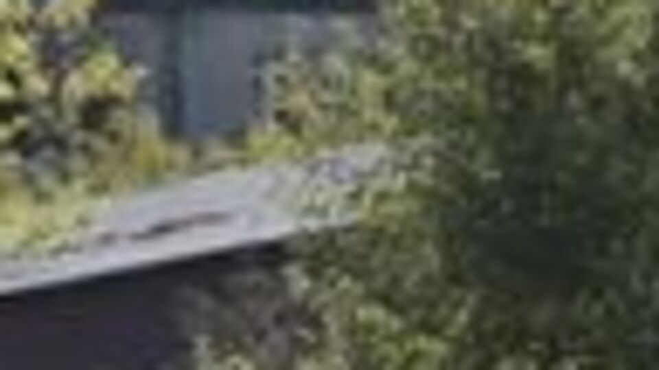 Diyarbakır'da arı kavgası: 1 ölü, 4 yaralı