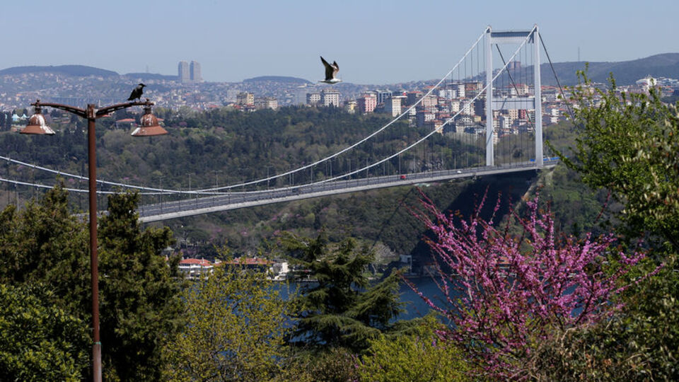 Bu yıl baharı yalnız karşıladı!