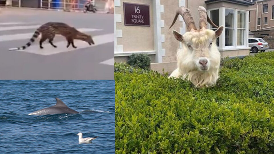 Doğa onlara kaldı!