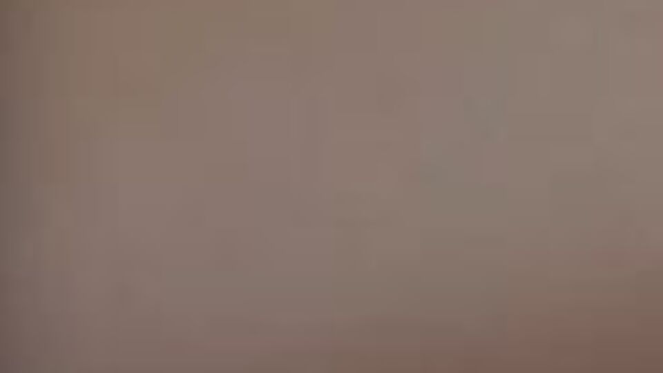 Tilkiyi elleriyle besliyorlar