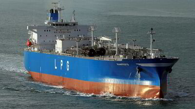 LPG ithalatı şubatta arttı