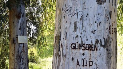 Burası onun canı, öldürmeyin!