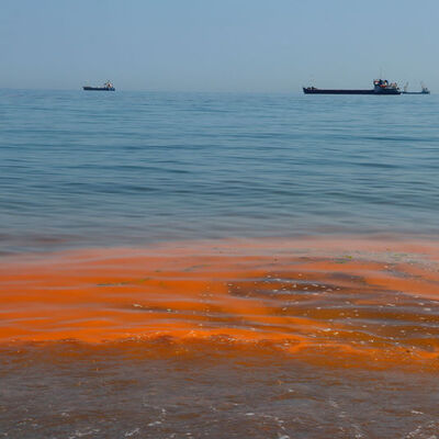 Marmara Denizi'nde şaşırtan görüntü!