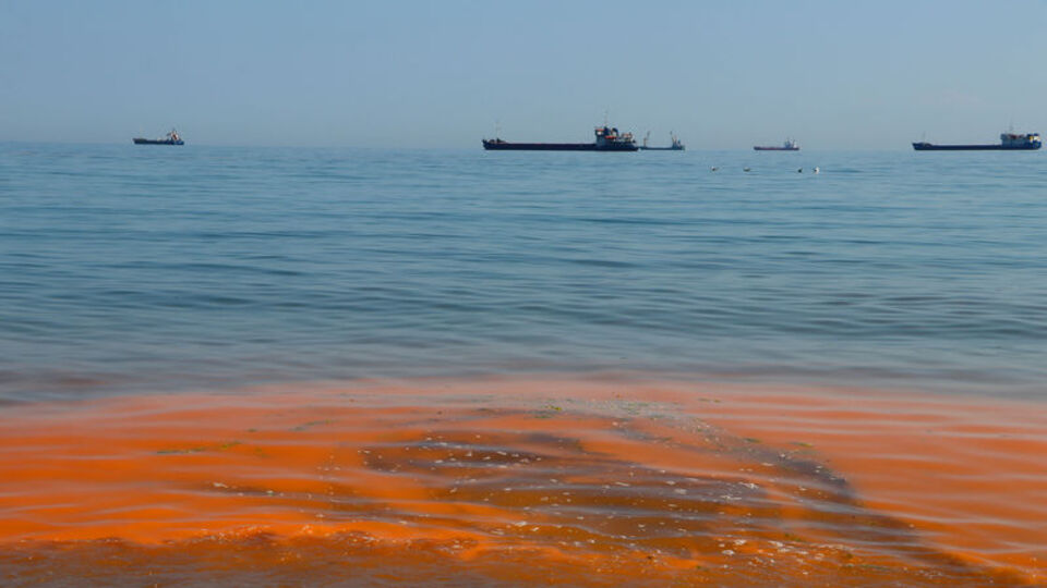Marmara Denizi'nde şaşırtan görüntü!