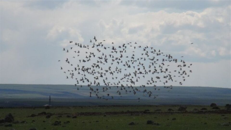 Yıllar sonra yeniden!