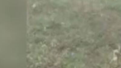 2 aydır elleriyle besliyor