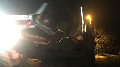 Gece yarısı kaçak ağaç operasyonu