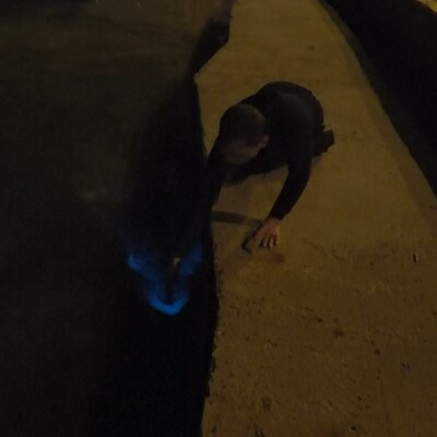 Marmara Denizi'nde heyecan yaratan görüntü!