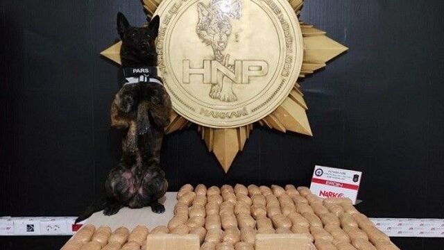 Hakkari'de uyuşturucu operasyonu