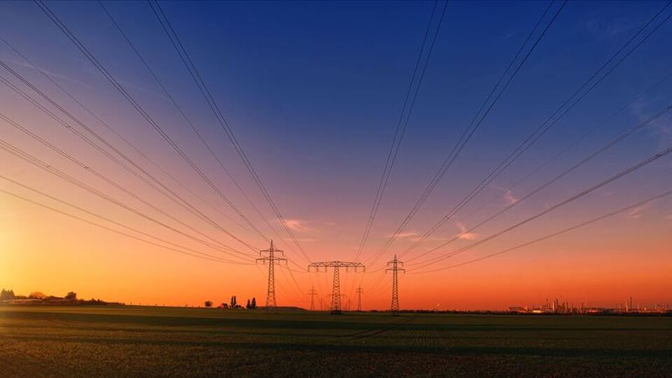 Rapor açıklandı! Son 70 yılın en büyük şoku