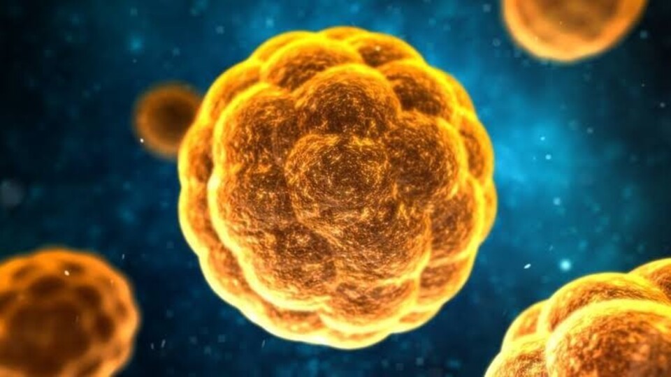 Hepatit A'da bulaş riski ve belirtileri