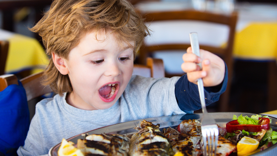 Hangi balıkları yedirebiliriz?