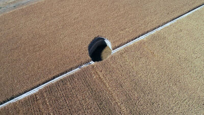 Artık tehdit haline geliyor!