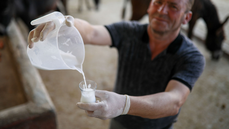 Bu sütün litresi 100 lira