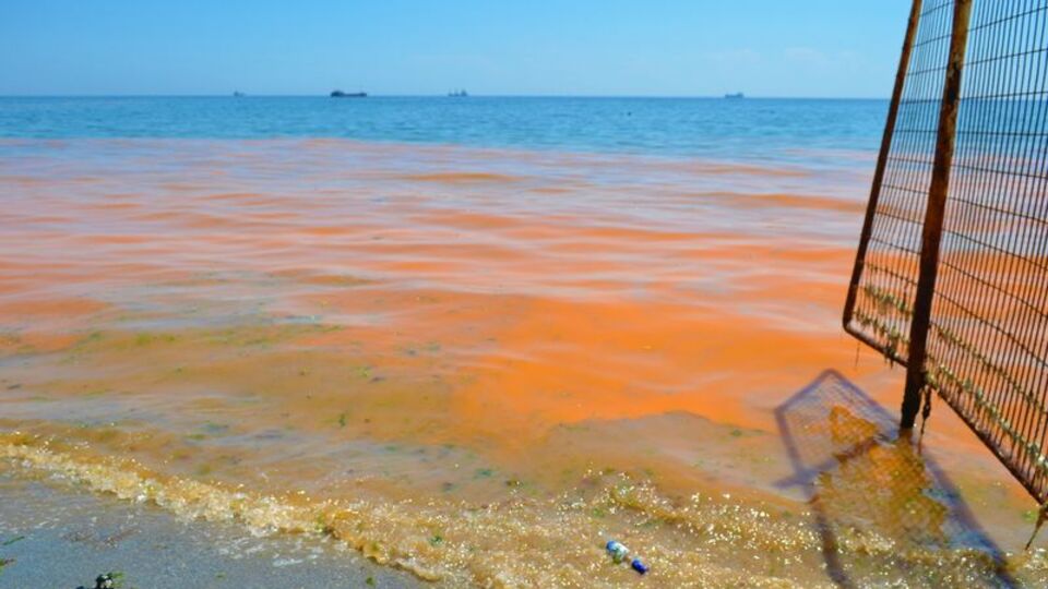 Aşırı artış var! Marmara için tehlike!