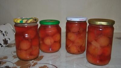 Erik kompostosu tarifi