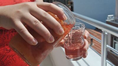 Kuru erik hoşafı tarifi