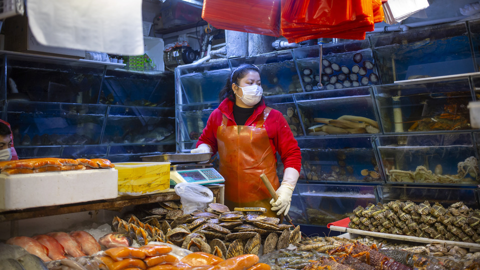 Çin'de yasaklara rağmen vahşi hayvan tüketimi!