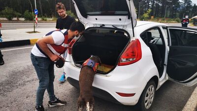 Yasak kalkınca hareketlilik başladı