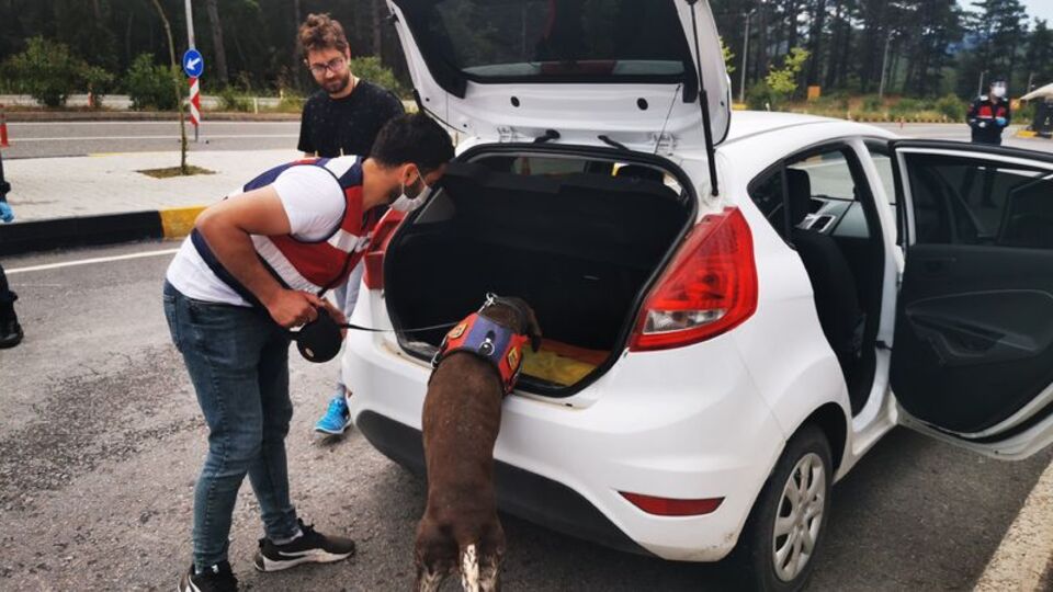 Yasak kalkınca hareketlilik başladı