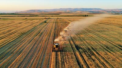 Tarım ürünleri ithalinde yetkili idareler düzenlendi