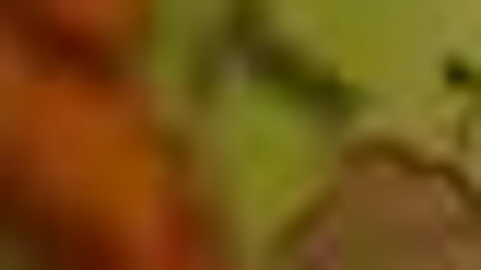 Nijerli bakan Kovid-19'dan öldü