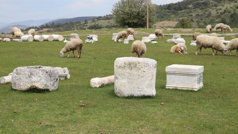 Antik kente koyun sürüsü daldı!