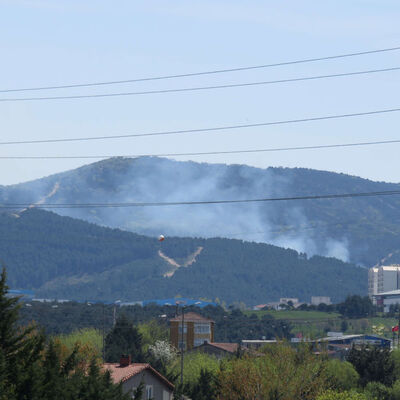 Aydos Ormanı yangınında karar! Müebbet ve 25 yıl!