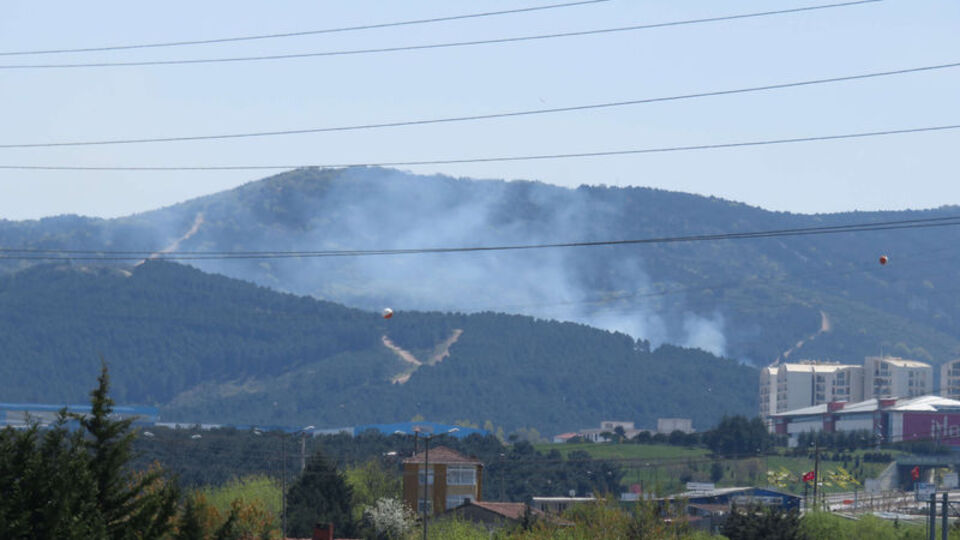 Aydos Ormanı yangınında karar! Müebbet ve 25 yıl!