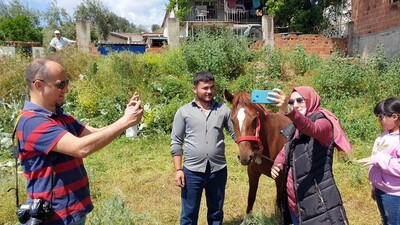 Fotoğraf için sıraya giriyorlar...