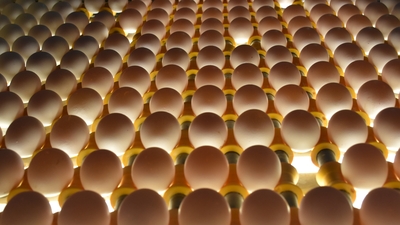 Talebe yetişemiyorlar! Haftalık 1 milyon sipariş