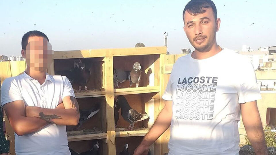 Güvercin kavgası: 1 ölü, 3 yaralı!