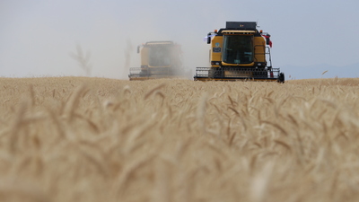 Tarımda ihracat Kovid-19'a rağmen arttı