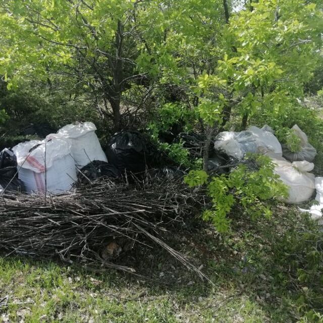 1 tona yakın esrar ve skunk ele geçti