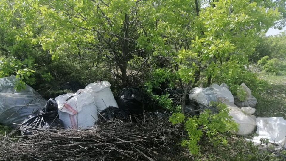 1 tona yakın esrar ve skunk ele geçti