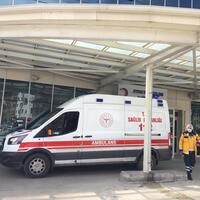 Köpek kavgasında kan aktı: 2 ölü, 2 yaralı!