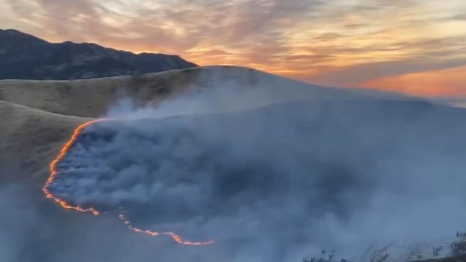 Kaliforniya'da orman yangını!