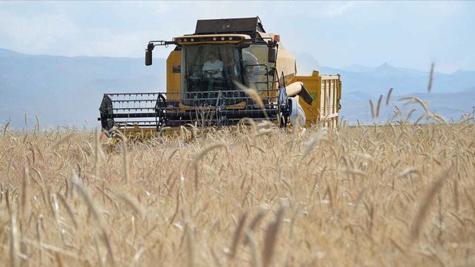 Buğdayda alım fiyatı açıklandı, gözler üretimde