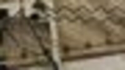 Karadeniz Sahil Yolu'nda feci kaza