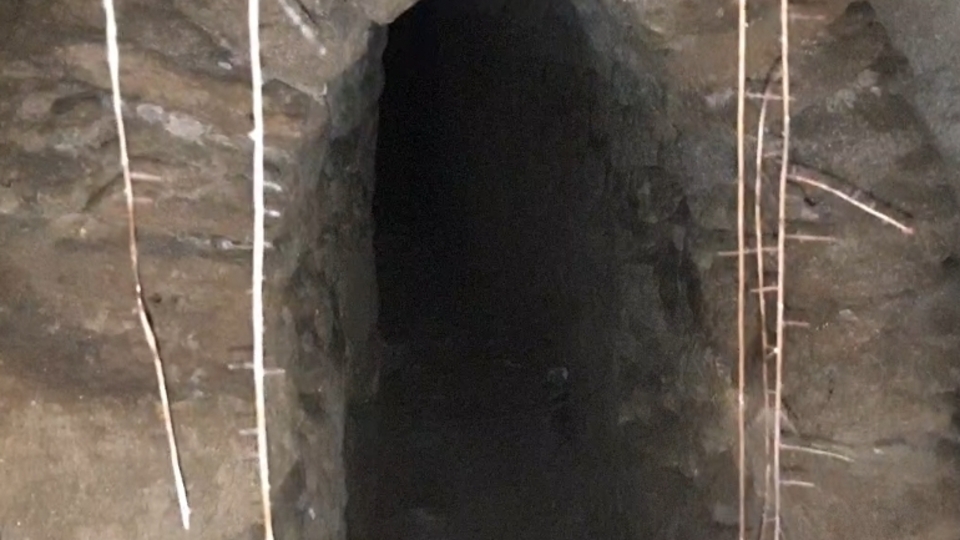 Bir tane daha bulundu! Gizemini koruyor