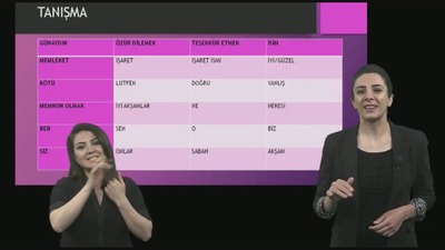 Aile Bakanlığı'ndan 'işaret dili' dersi