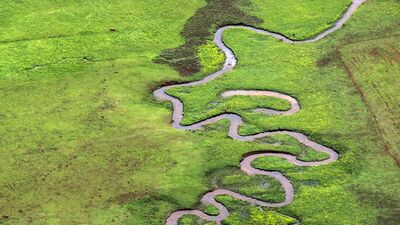 Dereler oluşturdu, görsel şölen sundu