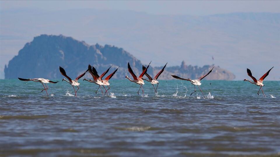 Doğa Derneği'nden karantina tavsiyesi